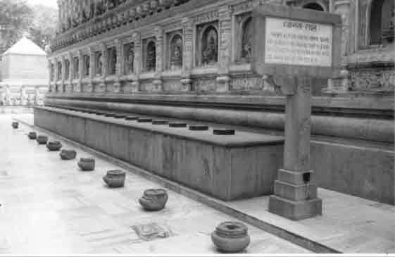 Cankama_bodhgaya_grey