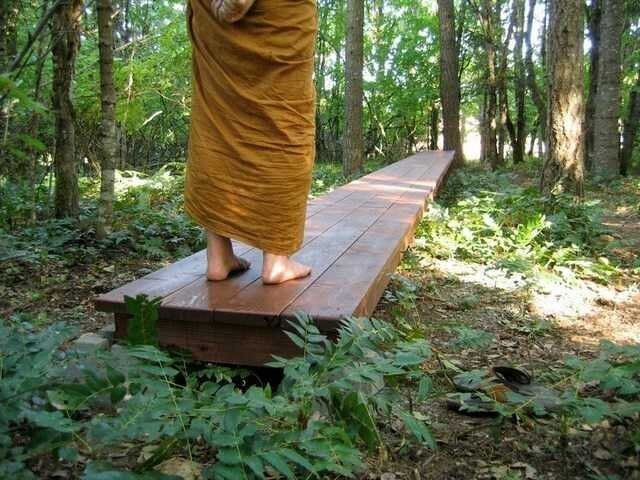 Walking Meditation